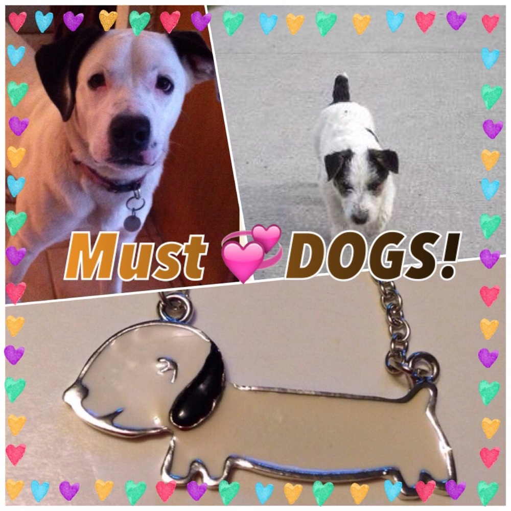 (1 of a kind)  🐶hotDog Jewlery Bundles🐶(3pc) NWT (WEARABLE ART)